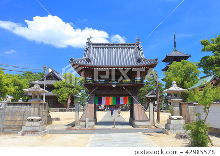 Zentsuji中門 42985578