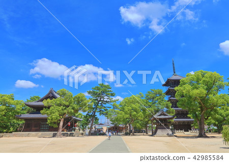 Zentsuji Toonin Gallery 42985584