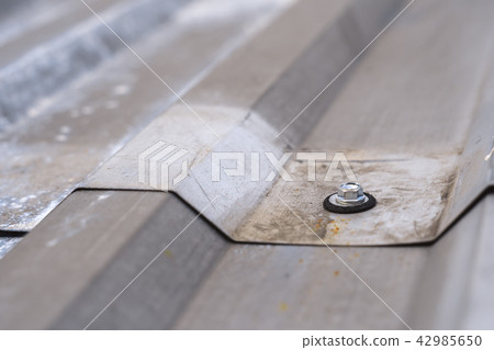 screws in the roof screws in the roof 42985650