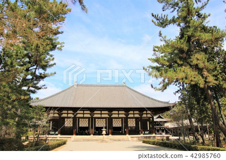 奈良Toshodaiji寺 42985760