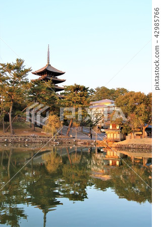 在Sarusawa池塘的日落 在Sarusawa池塘的日落 42985766