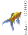 Goldfish (yellow) Yellow Comet Background color transparent 42986689