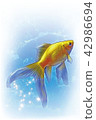 Goldfish (yellow) Yellow Comet 42986694