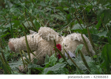 Stuffed toy abandoned in grass overrun by flies 42986863