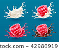 Set of raspberry berries in milk and juice 42986919