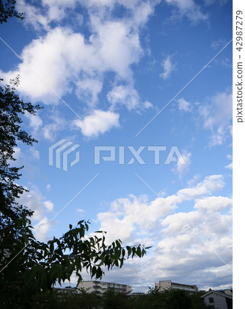 早晨的天空02 42987279
