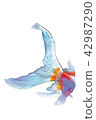 Goldfish (nishiki) 42987290