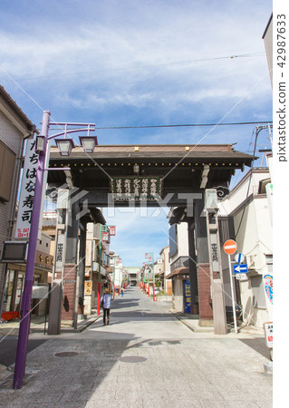 Lotus Temple Black gate and entrance road 42987633