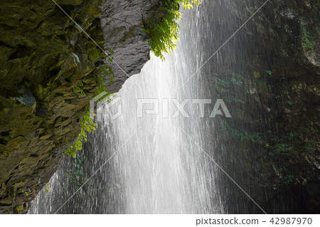 永豐瀑布（Crown Crowded）男子瀑布八月 42987970