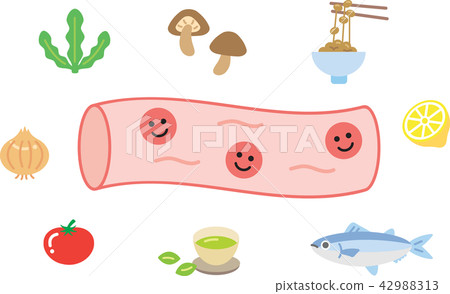 Healthy blood vessels and good food - Stock Illustration [42988313] - PIXTA