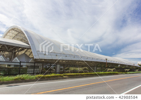 中山賽馬場 中山賽馬場 42988584