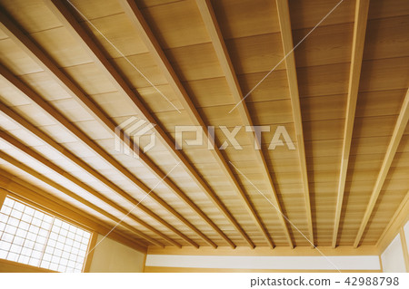 Ceiling landscape 42988798