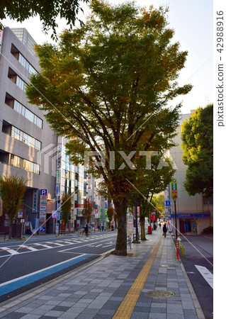 縣政府街（埼玉市浦和區） 42988916