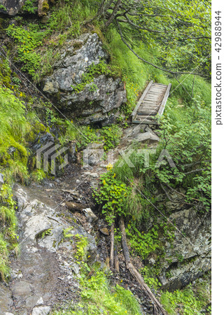 Mountain trail of Senjogatake 42988944