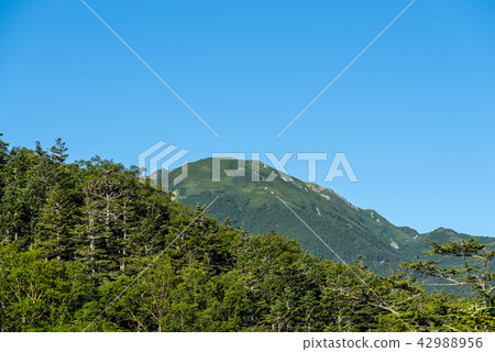 小山千疊 42988956