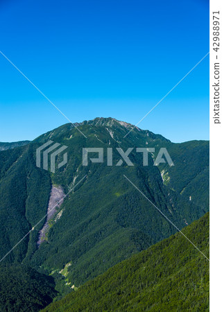 Queen Southern Alps Majestic Southern Alps Senjogake 42988971