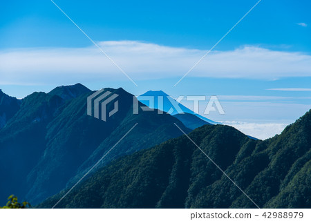 Southern Alps and Mt. Fuji 42988979