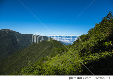 Central alpine from Kai Komagatake 42988981