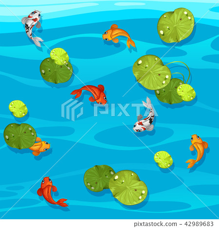 Large koi fish in pond 42989683