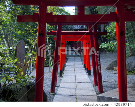 Shogu神社Torii Torii Shogu神社Torii Torii 42989714