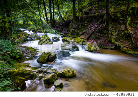 Mountain river - stream flowing through thick green forest, Bistriski Vintgar, Slovenia Mountain river - stream flowing through thick green forest, Bistriski Vintgar, Slovenia 42989931