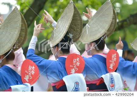 Authentic Tokushima Awa Odori Authentic Tokushima Awa Odori 42990204