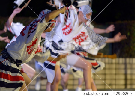 正宗德島阿波大通有力的男人跳舞 42990260