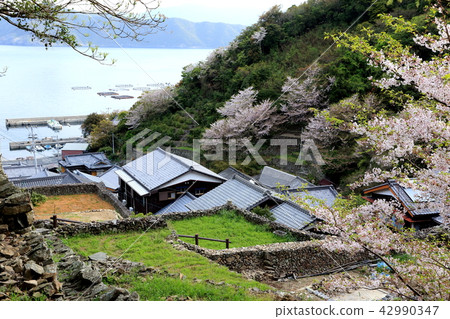Ishigaki no Sato·Spring Ishigaki no Sato·Spring 42990347