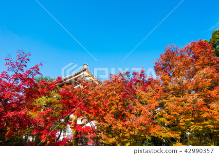 Eikan-do秋葉 42990357