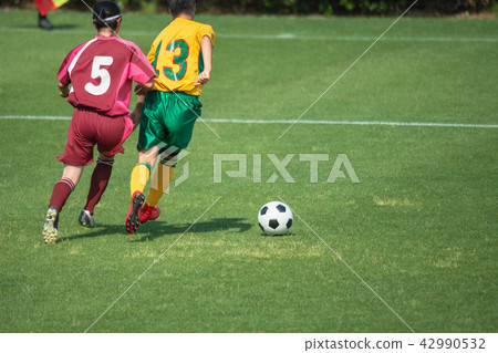Women's soccer game landscape Women's soccer game landscape 42990532