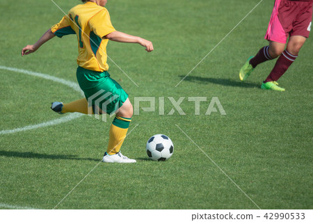 Women's soccer game landscape Women's soccer game landscape 42990533