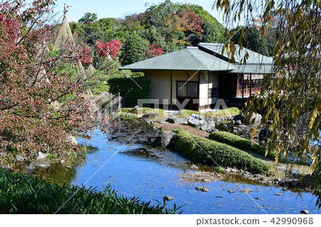 Autumn swan garden 42990968