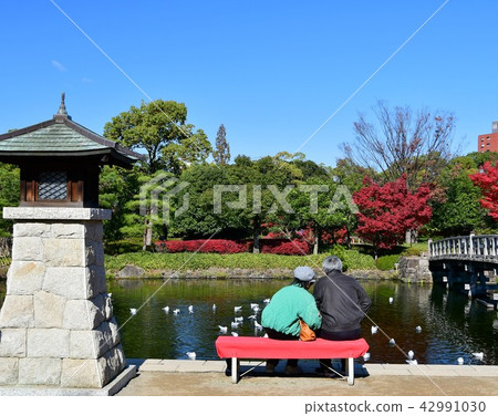 秋天天鵝庭院 秋天天鵝庭院 42991030
