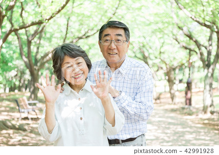 Senior Oshidori couple Senior Oshidori couple 42991928