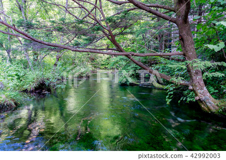 [Nagano Prefecture] Kamikochi 42992003