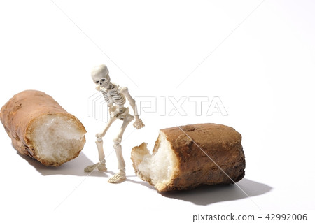 Osteoporotic image osteoporosis Osteoporotic image osteoporosis 42992006