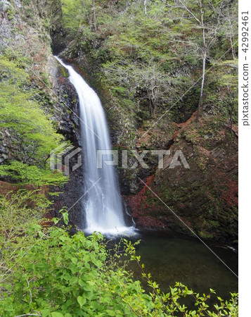 大仙的瀑布 大仙的瀑布 42992461