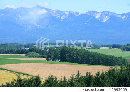 Shinraku no hill Tokachi dake遠景 Shinraku no hill Tokachi dake遠景 42993669