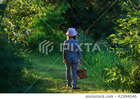 Young girl walking on a path through green woods carrying a basket Young girl walking on a path through green woods carrying a basket 42994046