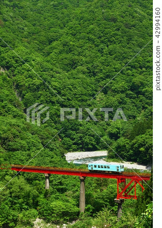 Fresh green iron bridge 42994160