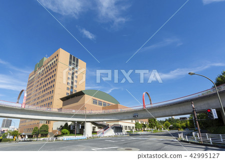 City scenery seen from the Minami-Osawa Rondo Footbridge 42995127