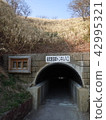 Shimpusei沿海隧道入口 42995321