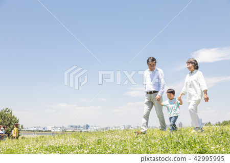 Senior Oshidori couple Senior Oshidori couple 42995995