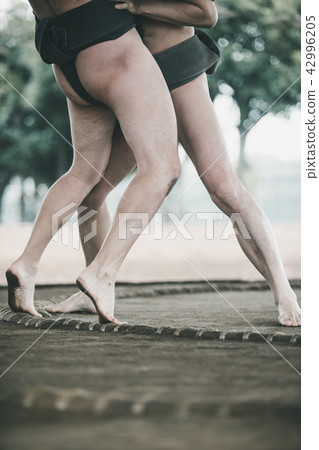 sumo, sumo wrestling, sumo wrestler's loincloth 42996205