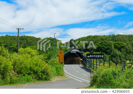 岩手縣Gakushuin八幡平市前的Miyazumi-numa和Snow避難所的路 42996605