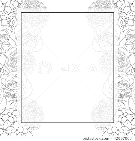 Rose Hydrangea And Ranunculus Outline Banner Stock Illustration 42997003 Pixta