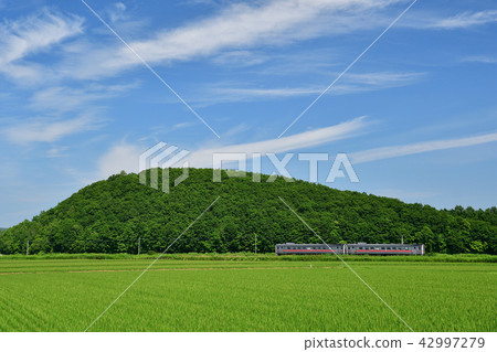 Blue sky and rice paddies and trains Blue sky and rice paddies and trains 42997279