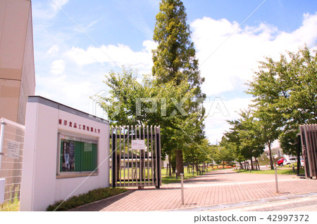 Toyo Food and Commerce Junior College Toyo Food and Commerce Junior College 42997372