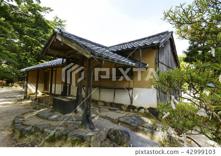 Yoshida Shoin Imperishable Primary Yoshida Shoin Yoshida Shoin Imperishable Primary Yoshida Shoin 42999103