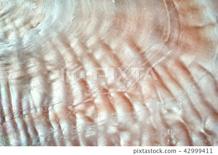 luxury nacre seashell background texture close up luxury nacre seashell background texture close up 42999411